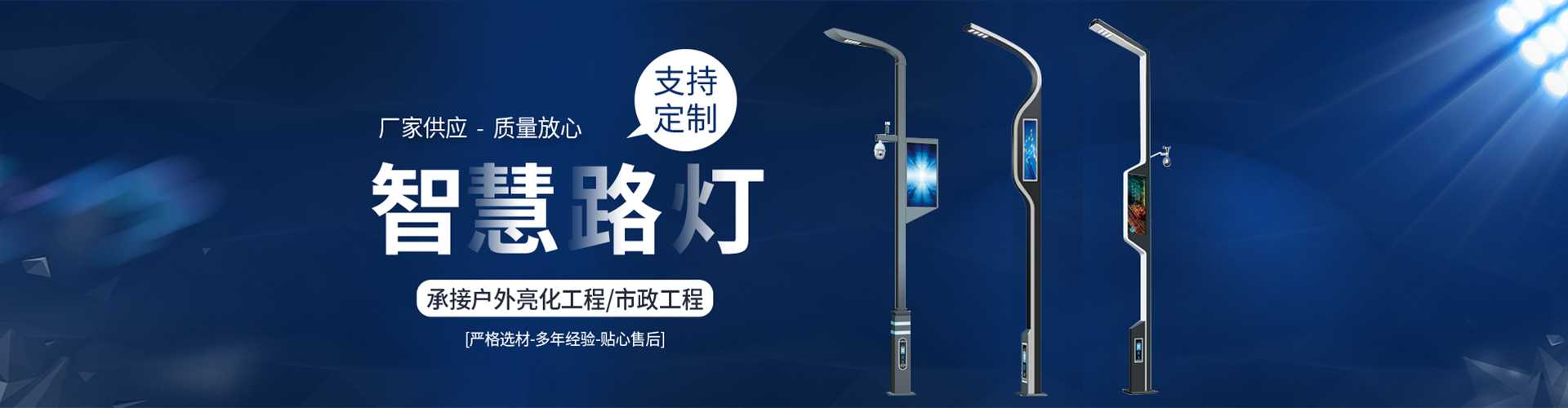 定陶区太阳能路灯定制厂家